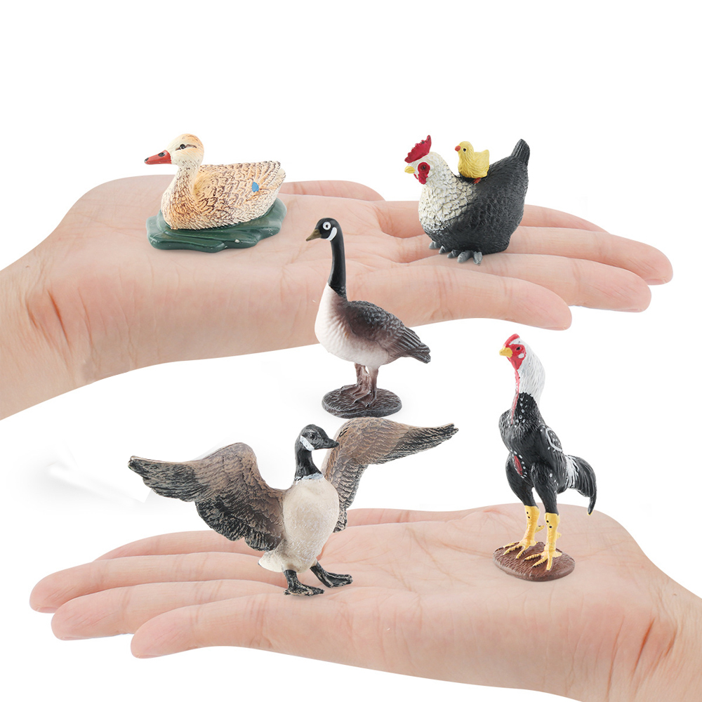 โมเดลจำลองสัตว์ปีก ไก่ ไก่ชน ไ - Home Improvement Kids บทวิจารณ์และราคา